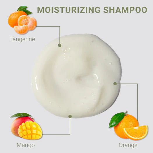 Loma Moisturizing Shampoo and Treatment Duo