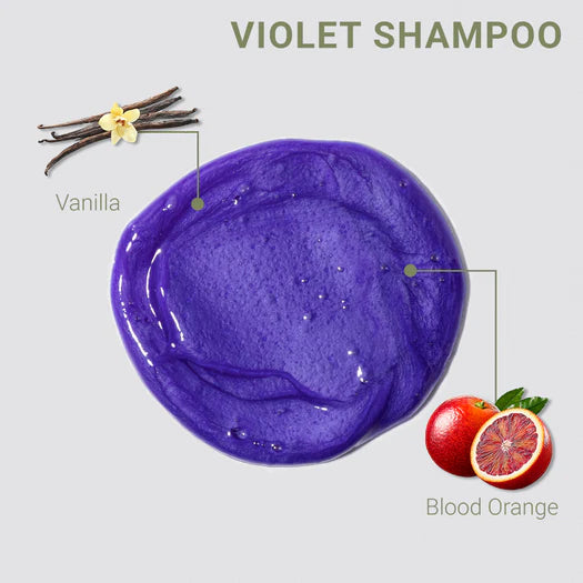 Loma Violet Shampoo